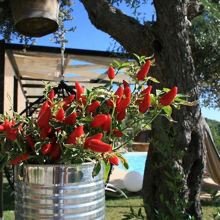 Il Podere Dell'Angelo Old Country House ベルヴェデーレ・マリッティモ エクステリア 写真